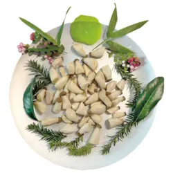 Eingelegte Kr&auml;uterseitlinge mini /lose