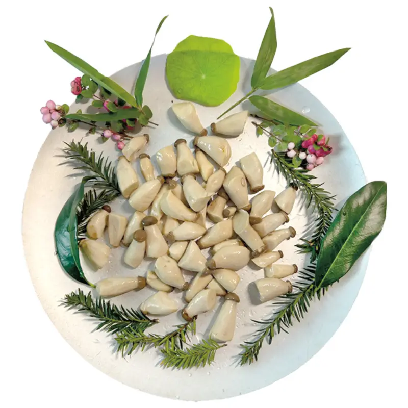 Eingelegte Kr&auml;uterseitlinge mini /lose