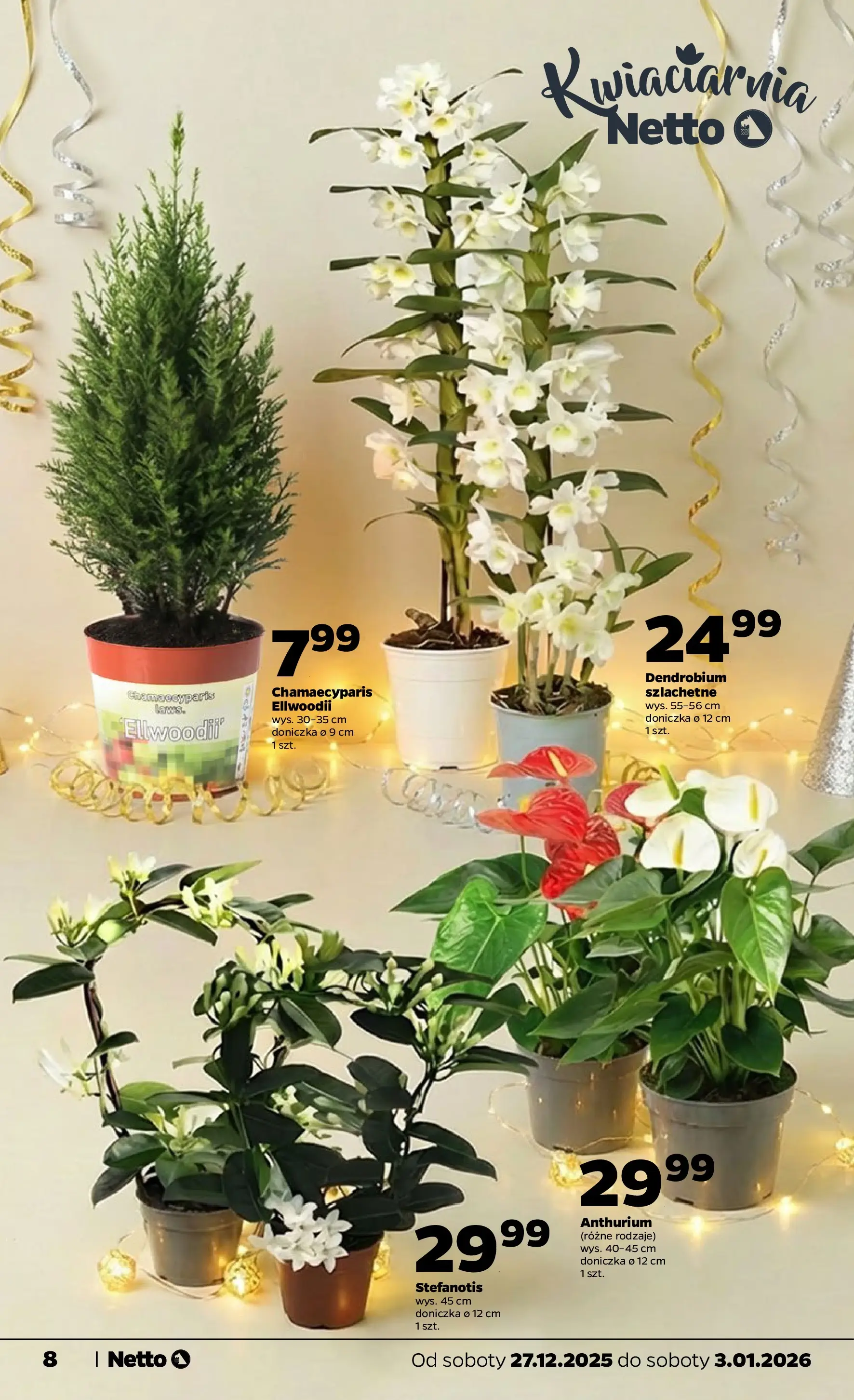 Netto - NETTO T01A ważne do 3.01.2026 od 26.12.2025 - Aktualne promocje | Strona: 8 | Produkty: Doniczka