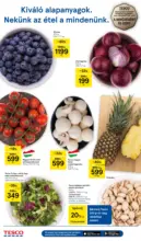 Tesco &uacute;js&aacute;g &eacute;rv&eacute;nyess&eacute;ge 2025.12.31-ig