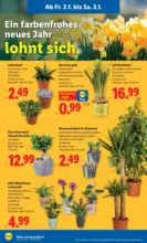 Lidl Lidl: Flugblatt in deiner N&auml;he - ab 02.01.2026