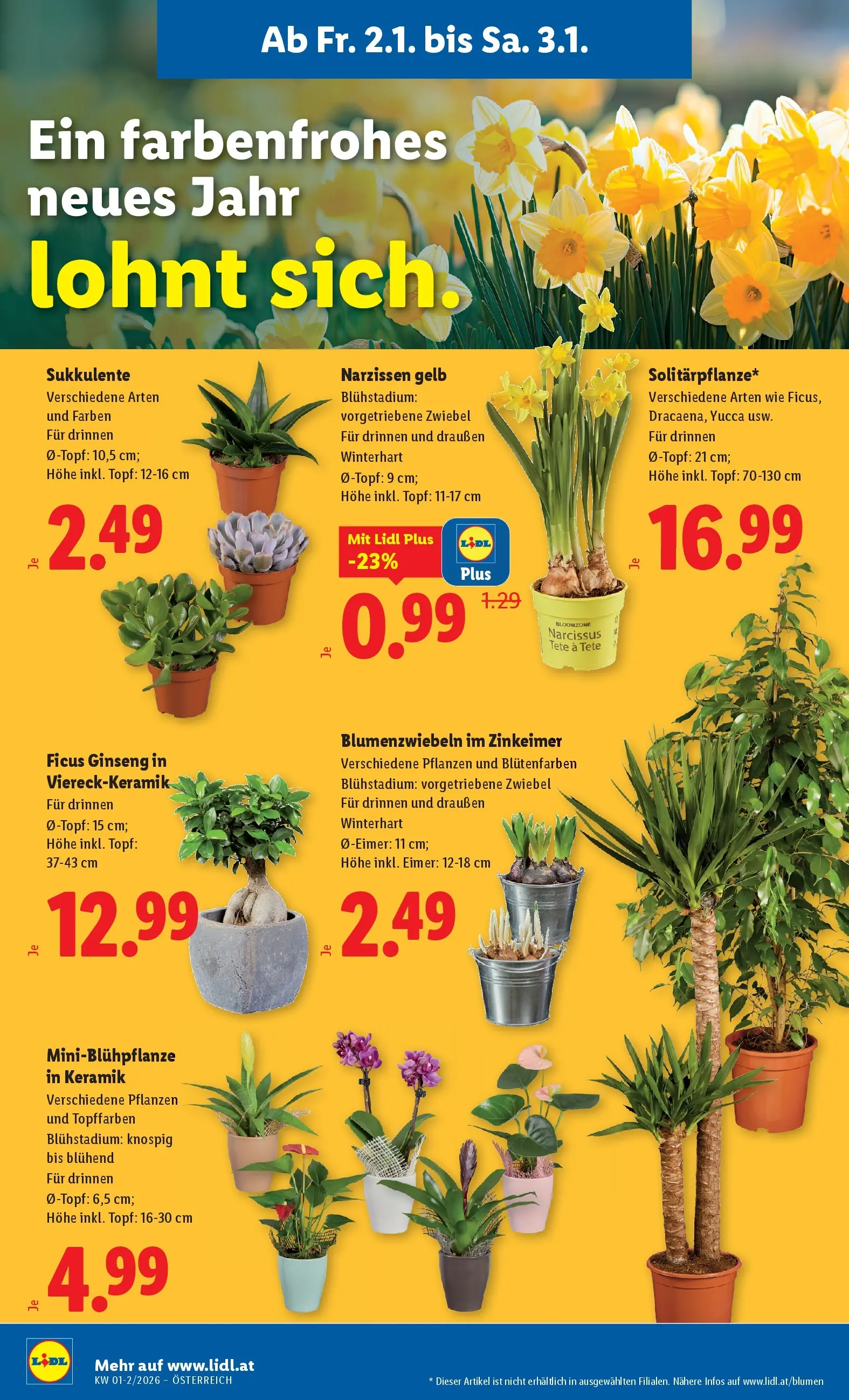 Lidl - Lidl: Flugblatt in deiner Nähe ab 01.01.2026 - Angebote ab donnerstag | Seite: 24
