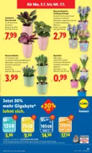 Lidl Lidl: Flugblatt in deiner N&auml;he - ab 02.01.2026