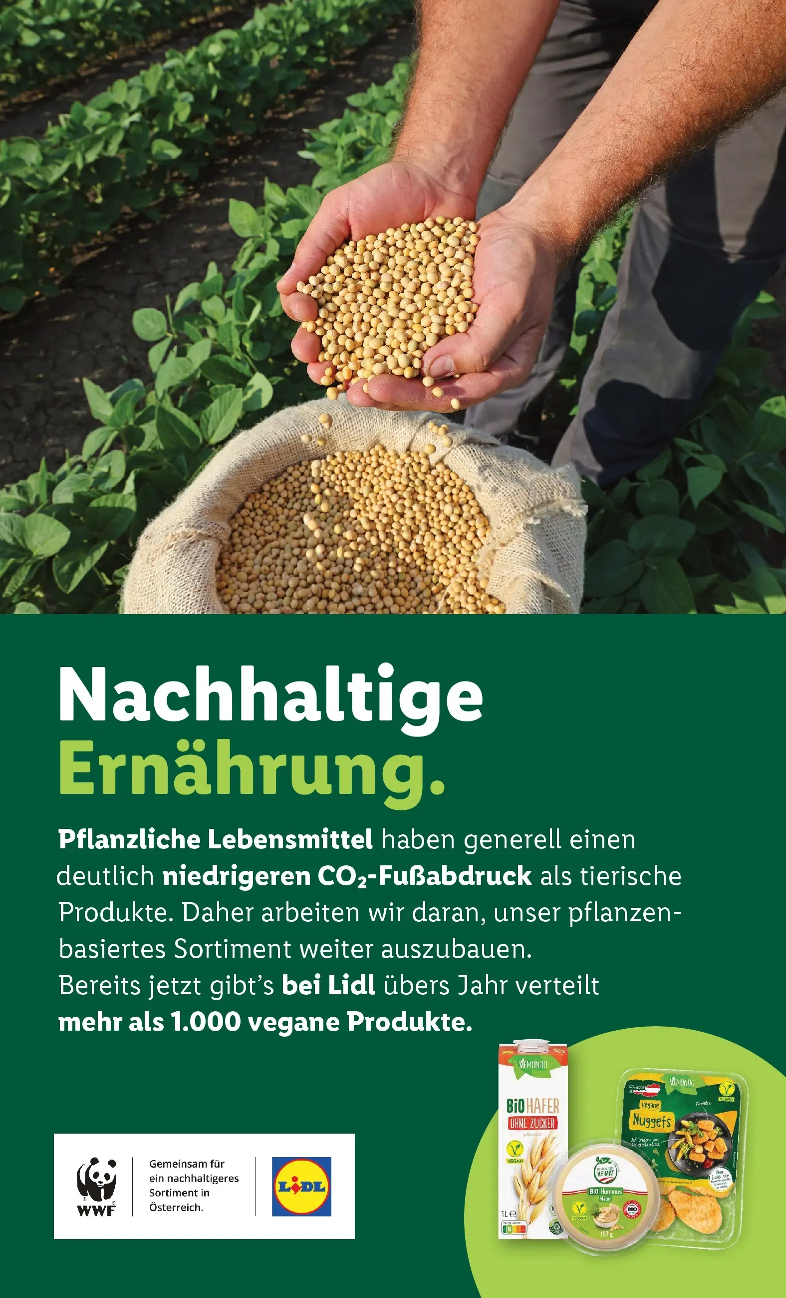 Lidl - Lidl: Flugblatt in deiner Nähe ab 01.01.2026 - Angebote ab donnerstag | Seite: 44 | Produkte: Zucker, Libacomb