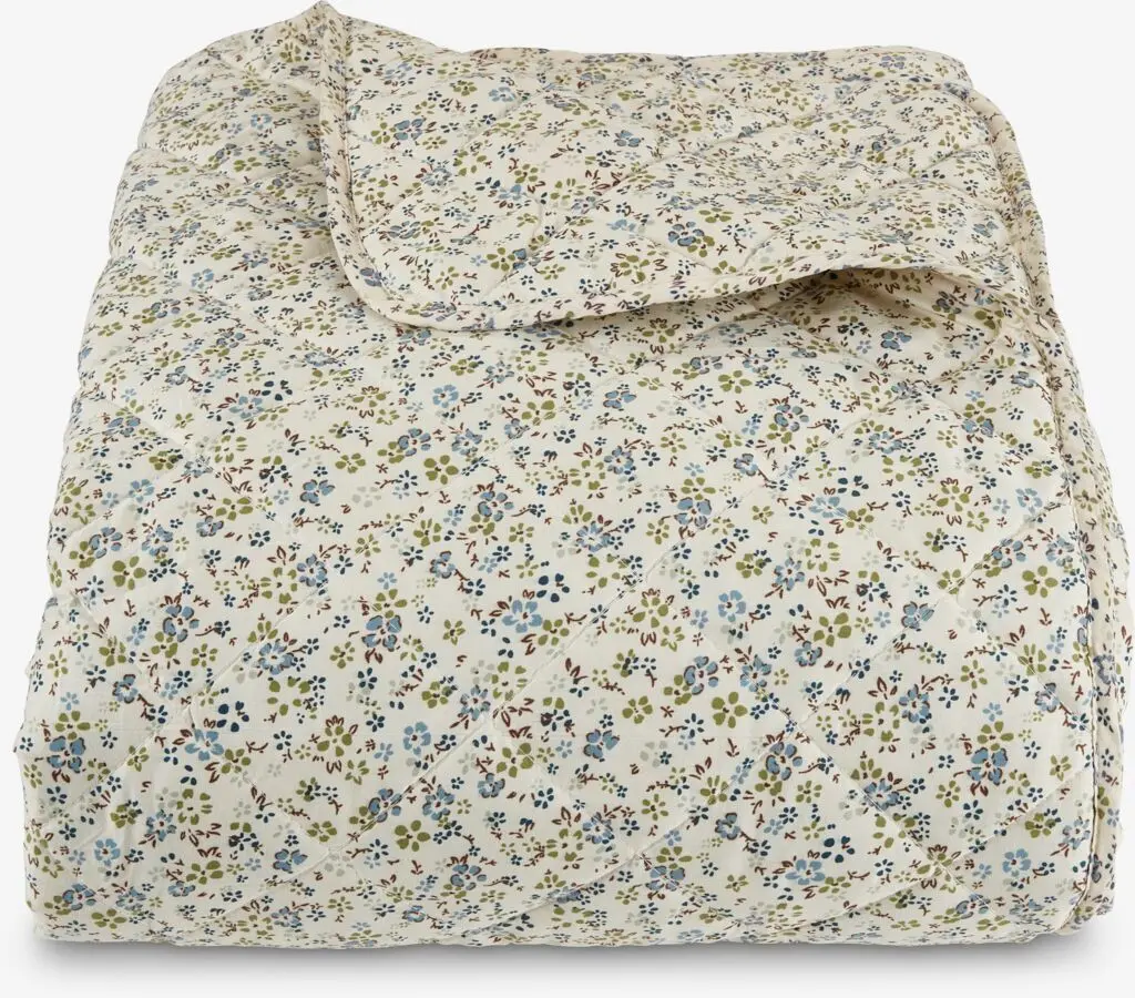 JYSK Cuvertură FRESIA 220x240 verde/bleu