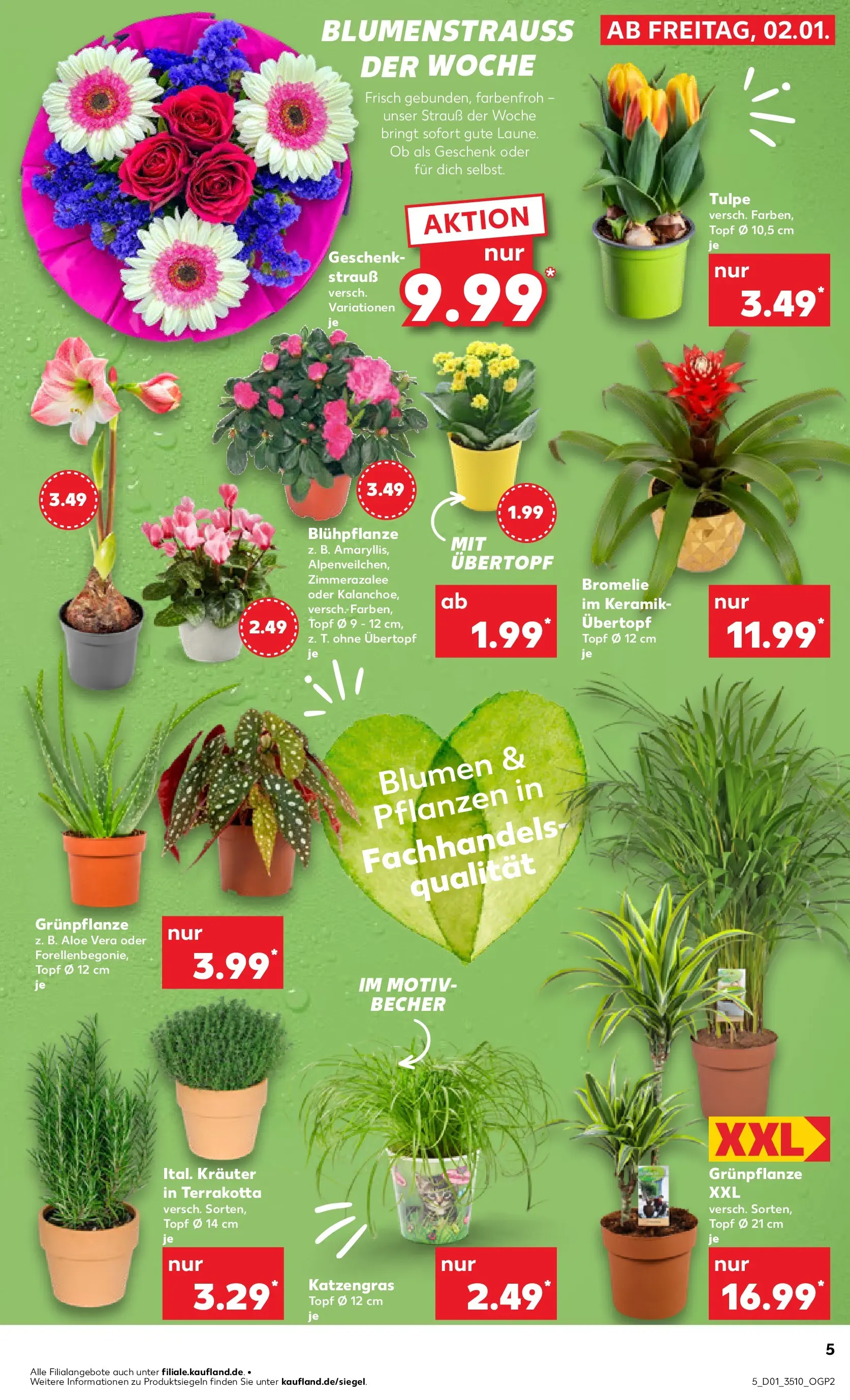 Prospekt Kaufland ab 01.01.2026 » Angebote Online zum Blättern | Seite: 5 | Produkte: Blumen
