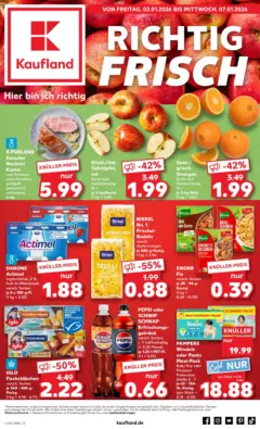Kaufland prospekt Alzey	 ab 02.01.2026 gültig