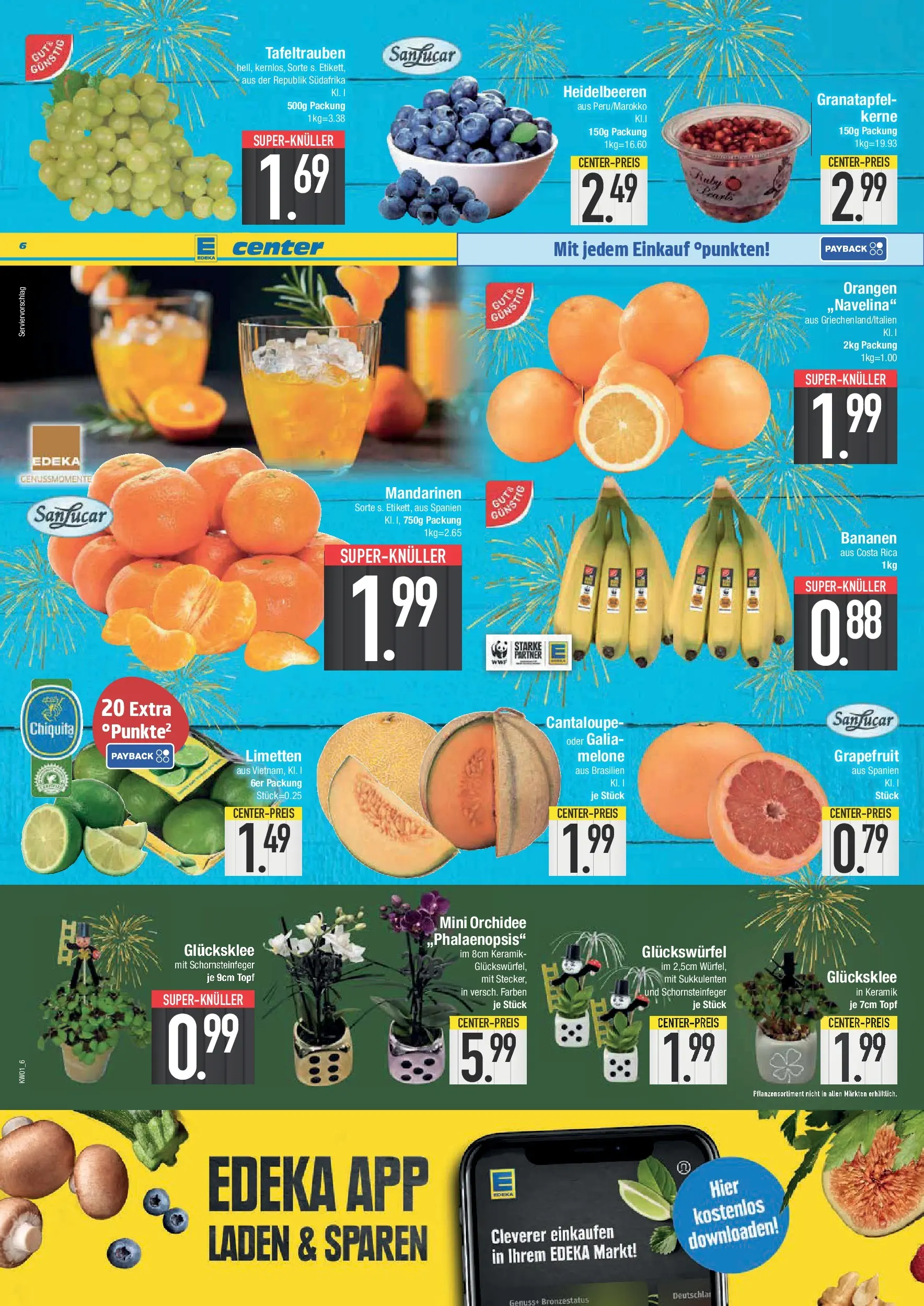 Edeka prospekt Neustadt	 (ab 28.12.2025) » Angebote Online | Seite: 6 | Produkte: Orchidee, Bananen, Heidelbeeren, Melone
