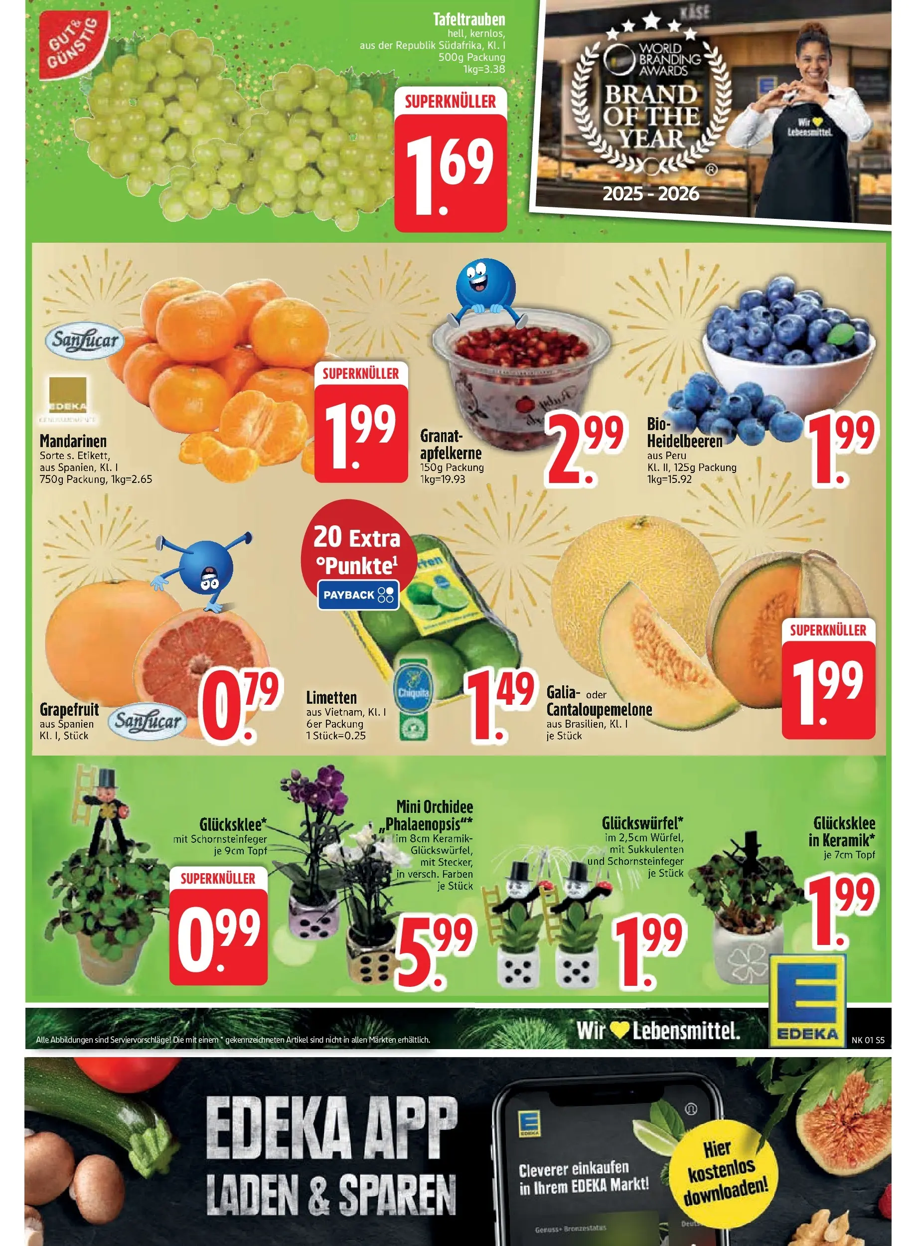 Edeka prospekt Regensburg	 (ab 28.12.2025) » Angebote Online | Seite: 7 | Produkte: Limetten, Orchidee, Heidelbeeren, Grapefruit