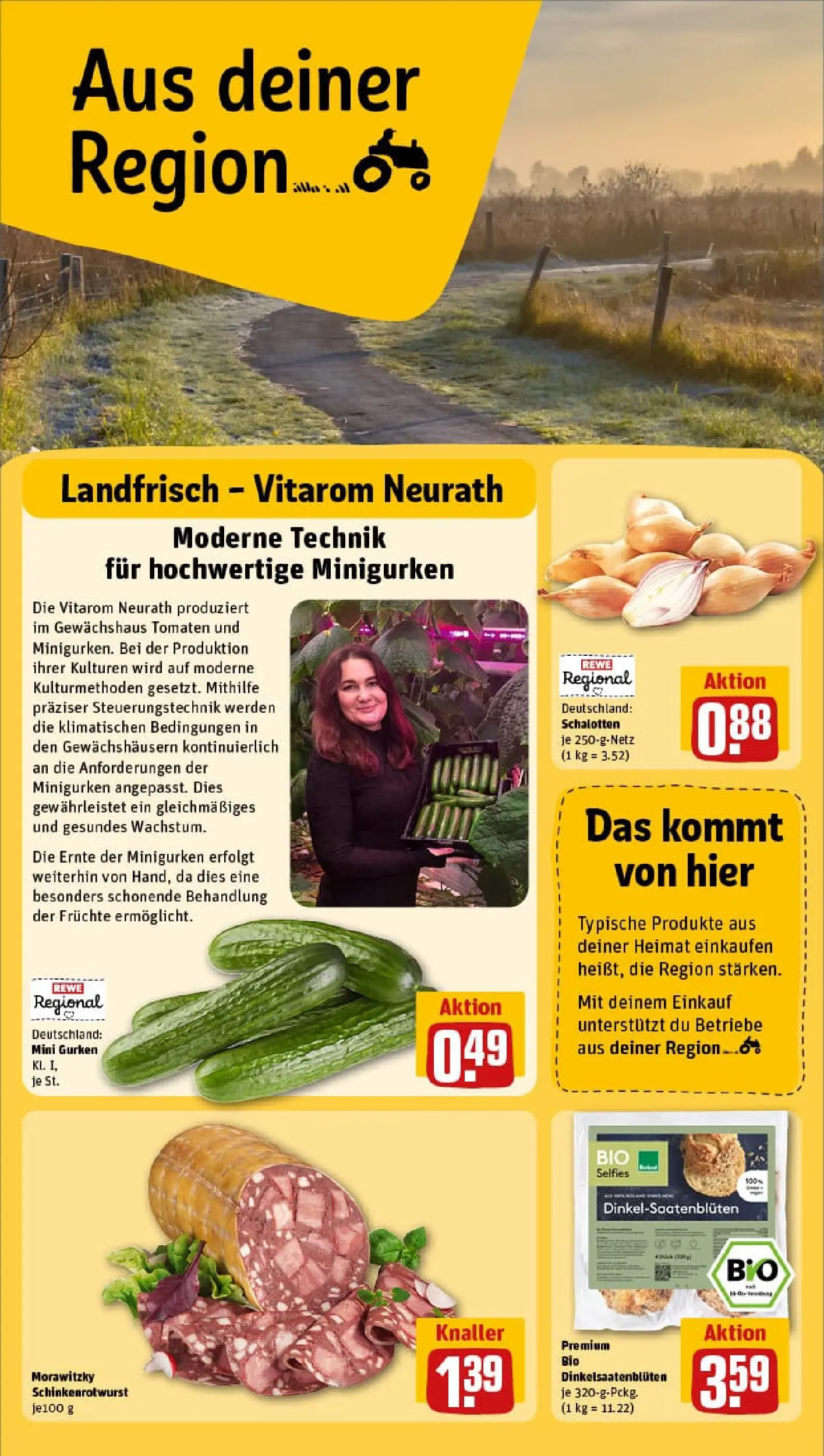 REWE Prospekt ab 29.12.2025 zum Blättern » Angebote | Seite: 22 | Produkte: Tomaten, Gurken, Morawitzky