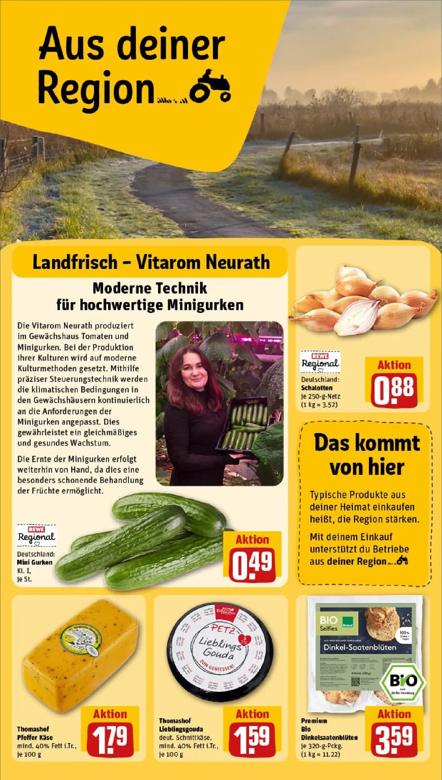 REWE Prospekt ab 29.12.2025 zum Blättern » Angebote | Seite: 22 | Produkte: Käse, Tomaten, Pfeffer, Gurken