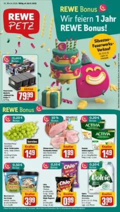 Rewe prospekt Pulsnitz	 ab 29.12.2025 gültig