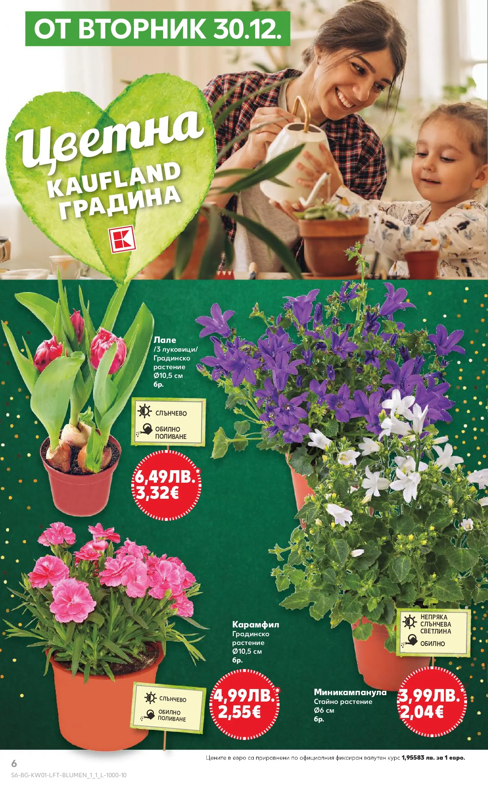 Нова Кауфланд - Изобилие от вкусове за Нова Година в Kaufland с валидност до 04.01.2025 от 28.12.2025 | Страница: 6 | Продукти: Карамфил