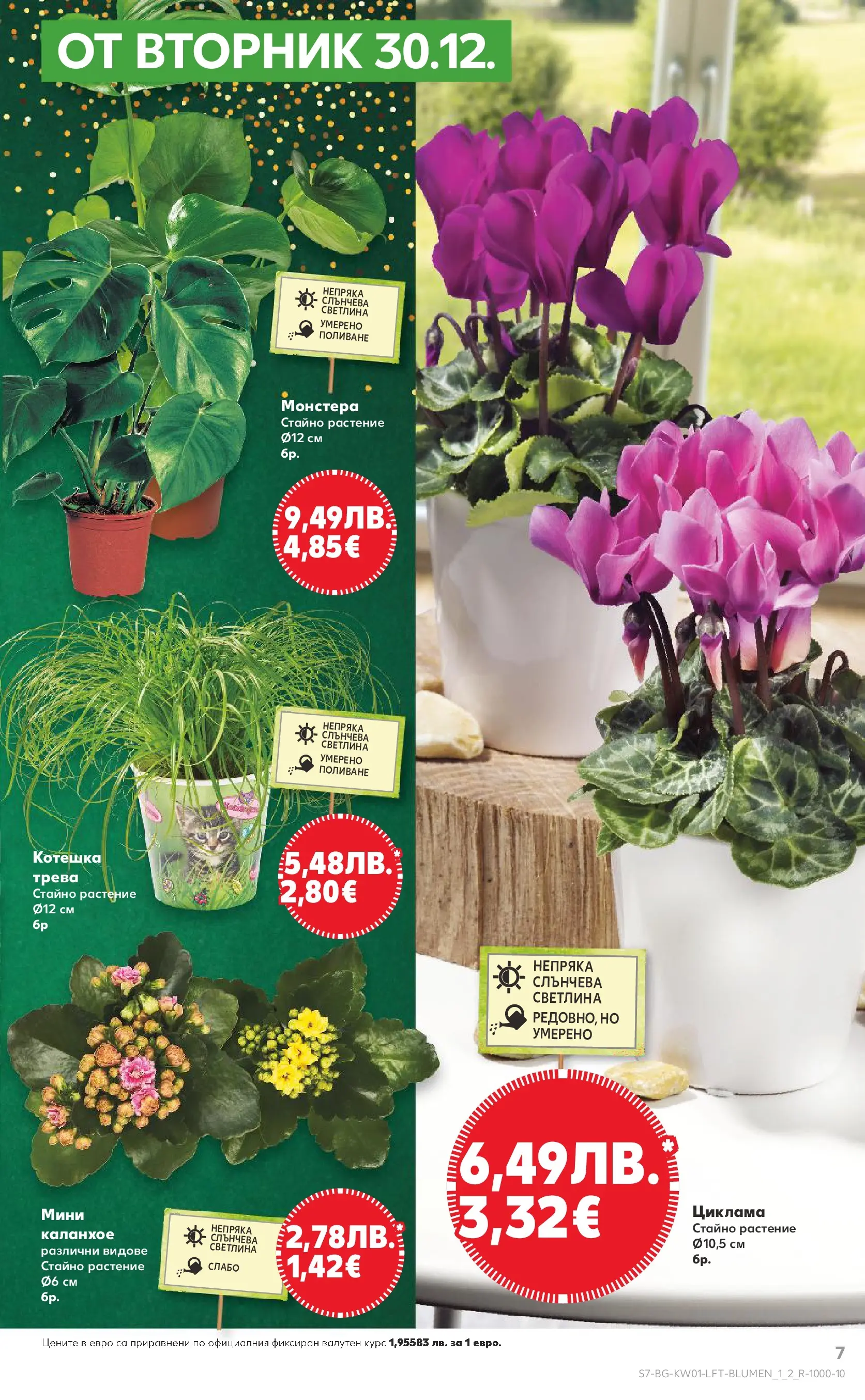 Нова Кауфланд - Изобилие от вкусове за Нова Година в Kaufland с валидност до 04.01.2025 от 28.12.2025 | Страница: 7