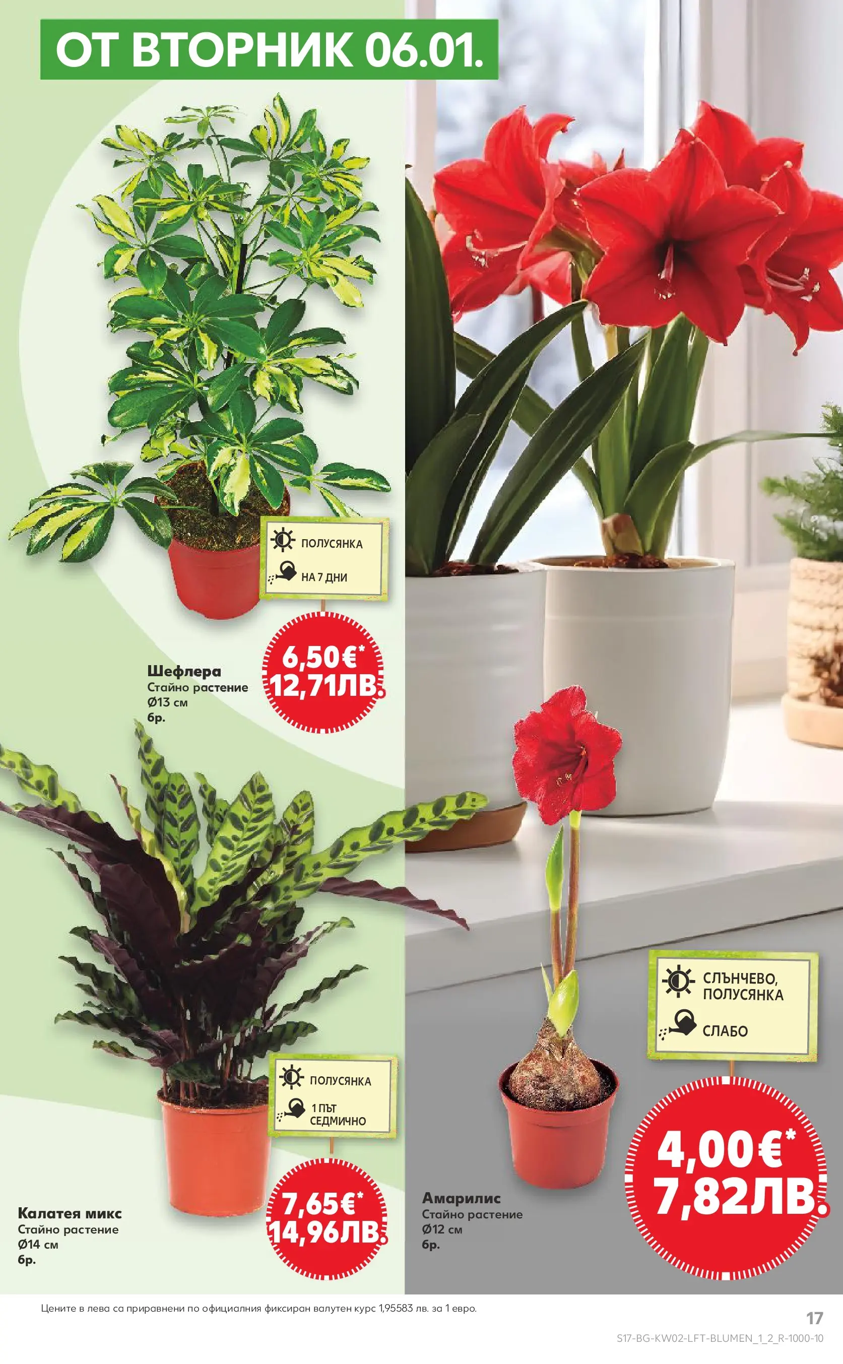 Нова Кауфланд брошура - Свеж старт за Новата Година от 05.01.2026 | Страница: 17