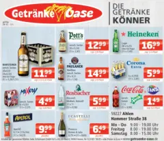 Entdecke - Getränke Oase: Getränkeangebote ab 28.12.2025 gültig Entdecke - Getränke Oase: Getränkeangebote ab 28.12.2025 gültig