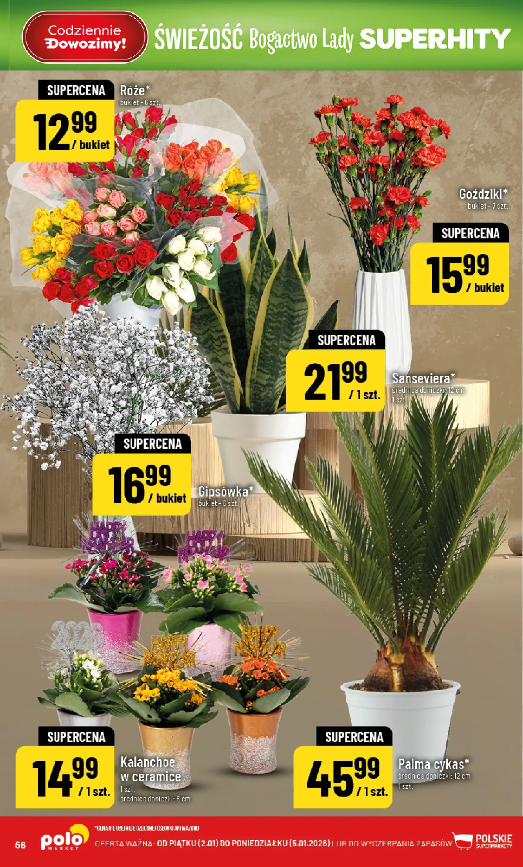 Nowa POLOmarket gazetka od jutra 01.01.2026 (PDF) | Strona: 56 | Produkty: Doniczki, Kalanchoe