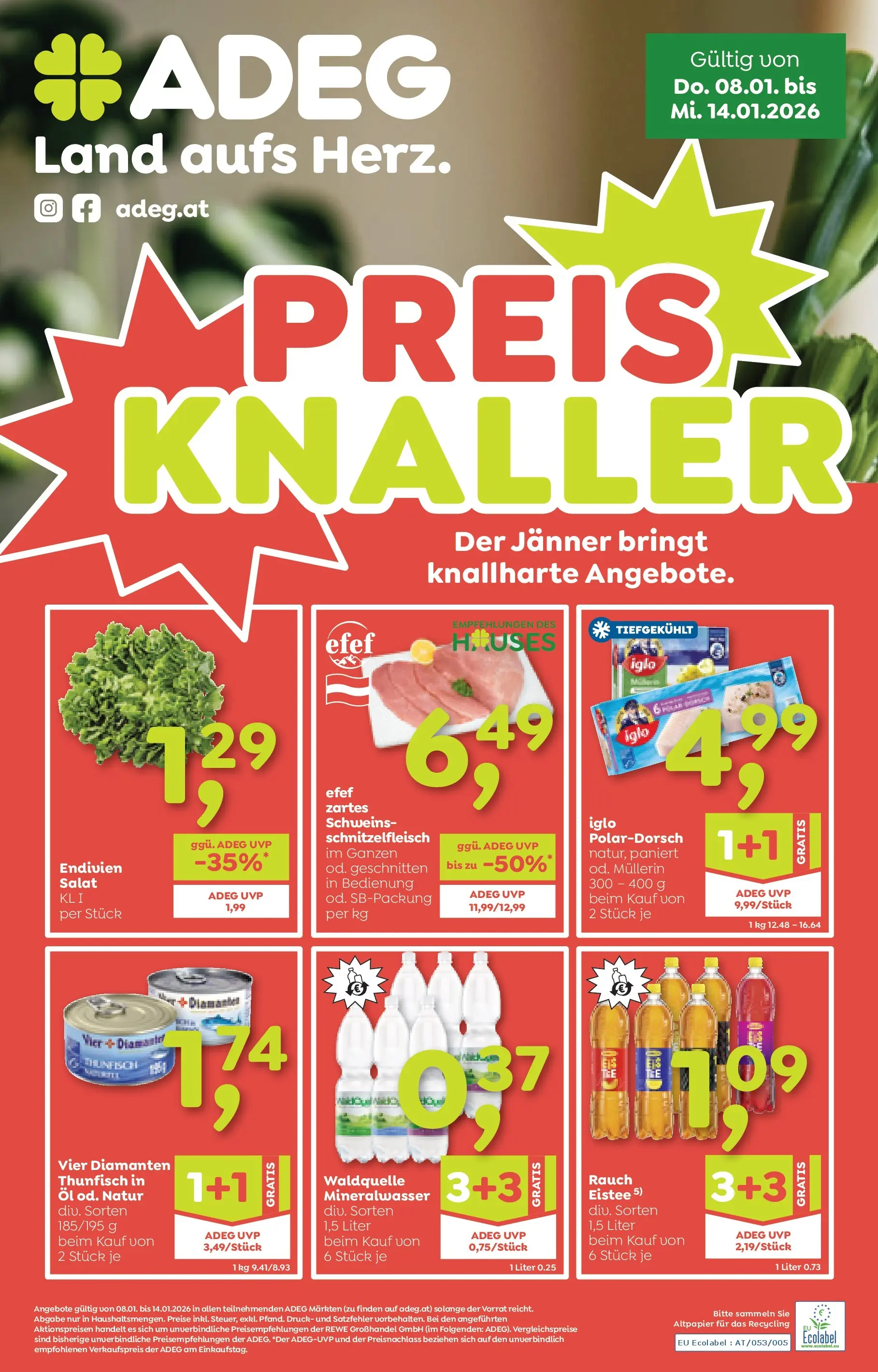 ADEG Wolfurt, Feldkirch von 08.01.2026 - Aktuelle Angebote | Seite: 1 | Produkte: Salat, Öl
