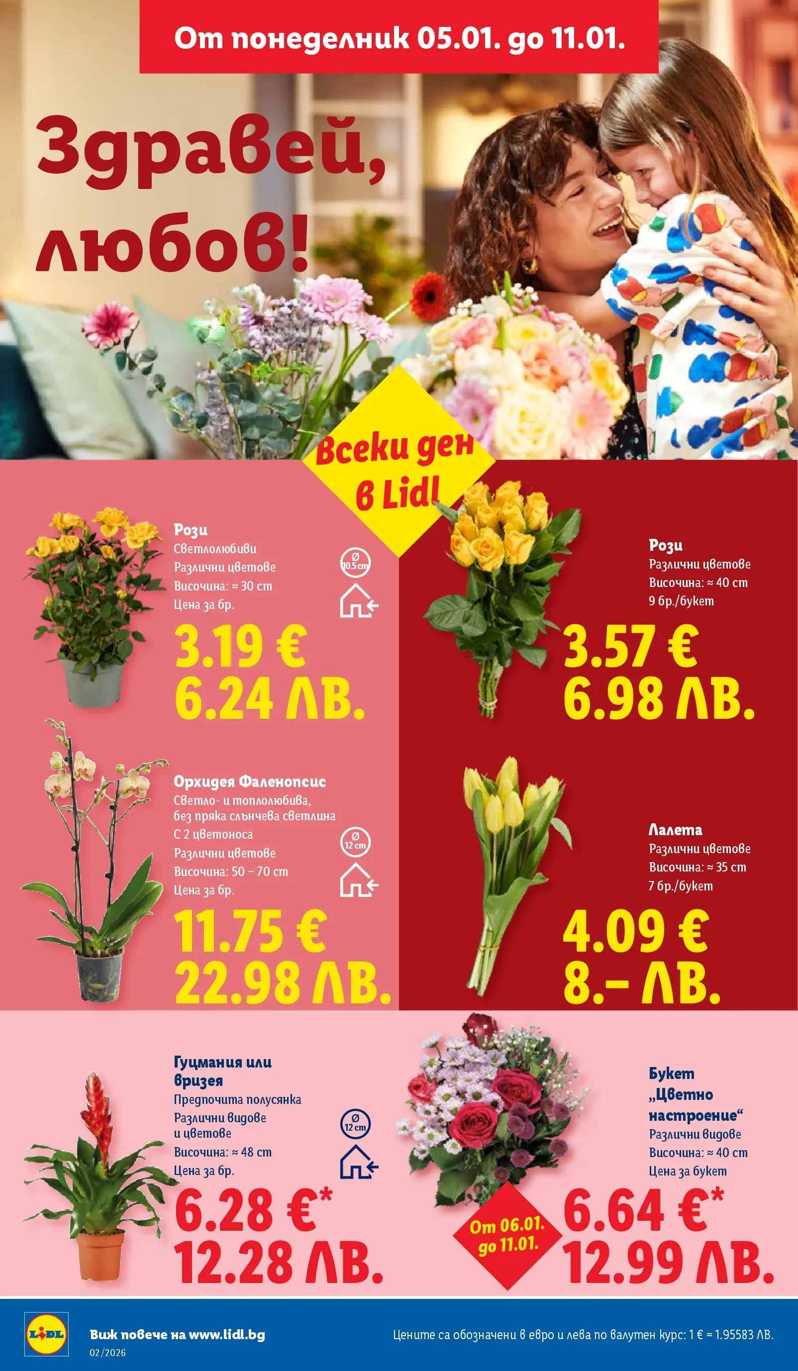 Лидл - Сваляме цените в ЛИДЛ с предложения валидни до 11.01.2026 от 04.01.2026 | Страница: 50 | Продукти: Орхидея