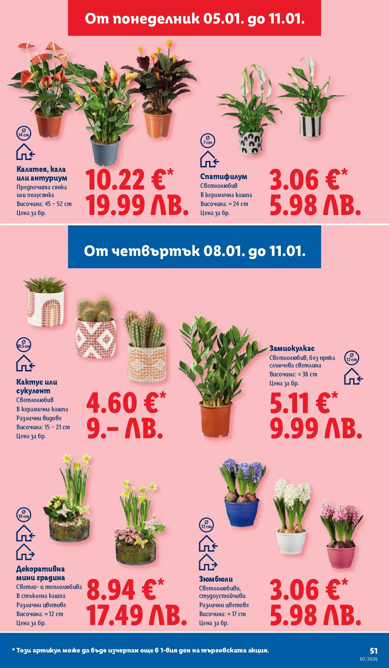 Лидл - Сваляме цените в ЛИДЛ с предложения валидни до 11.01.2026 от 04.01.2026 | Страница: 51 | Продукти: Кашпа