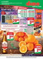 Maly pdf dino www 52 25 v2 Dino &ndash; do 30.12.2025