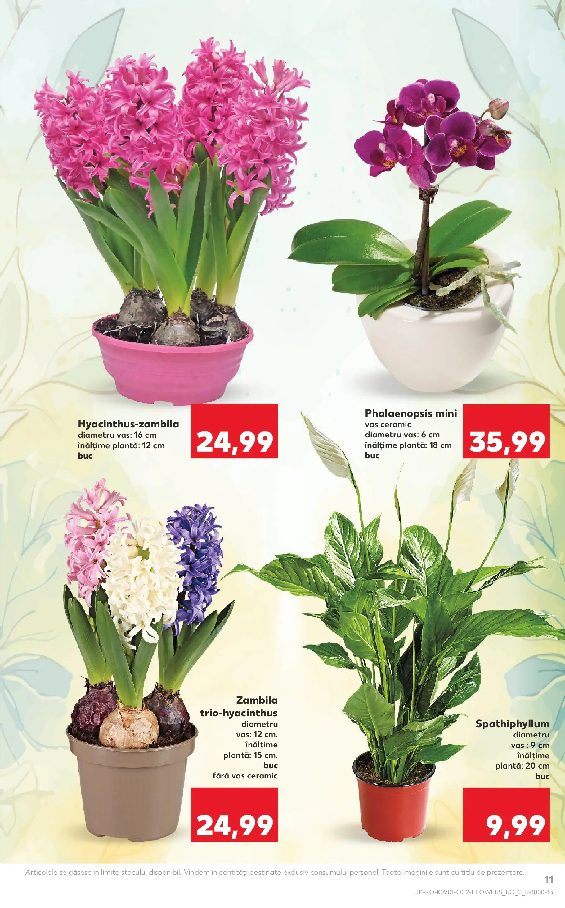 Catalog Kaufland - Domnesti 31.12.2025 - Revista si Oferta | Pagină: 11