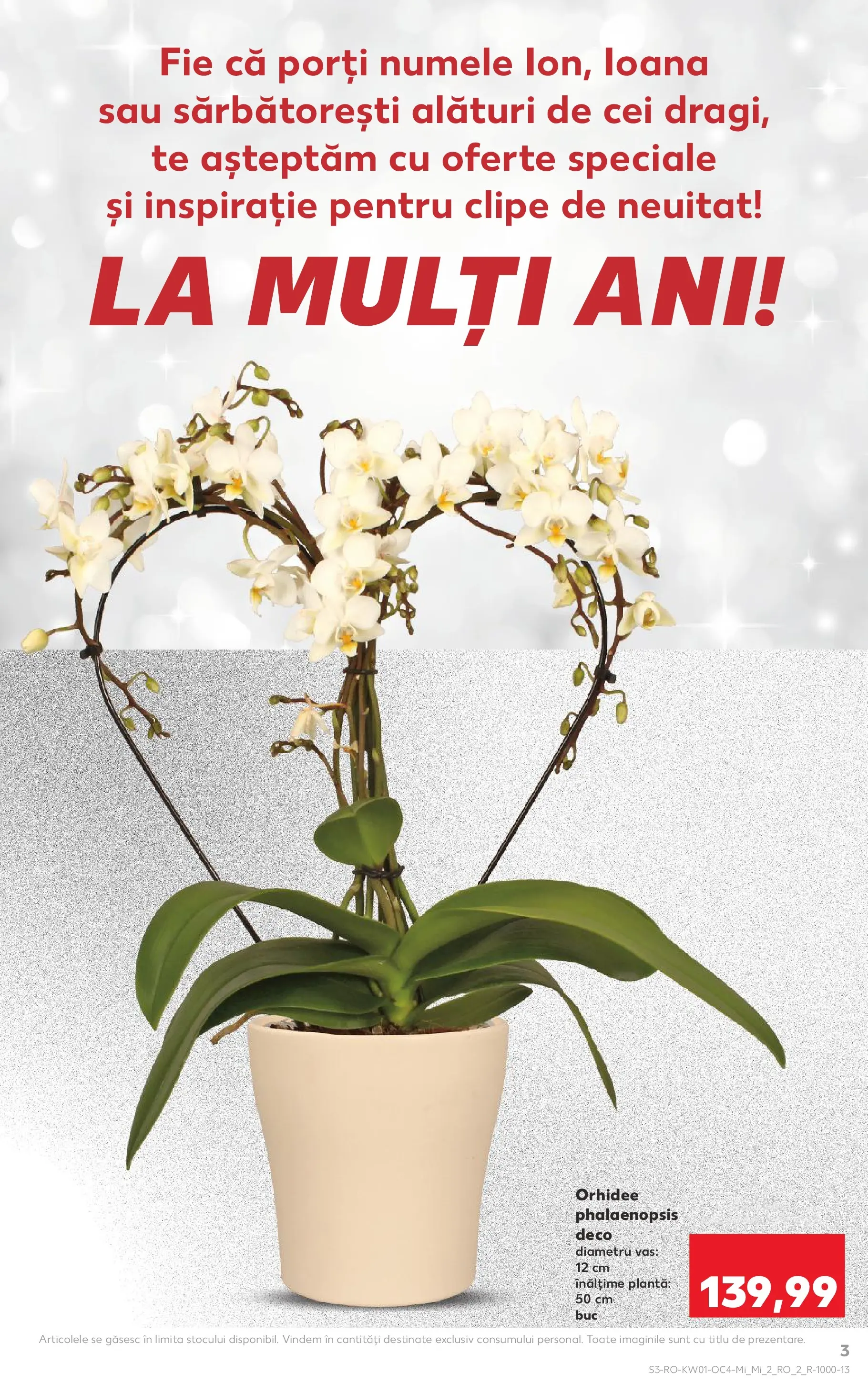 Catalog Kaufland - Viseu de Sus 31.12.2025 - Revista si Oferta | Pagină: 3 | Produse: Orhidee