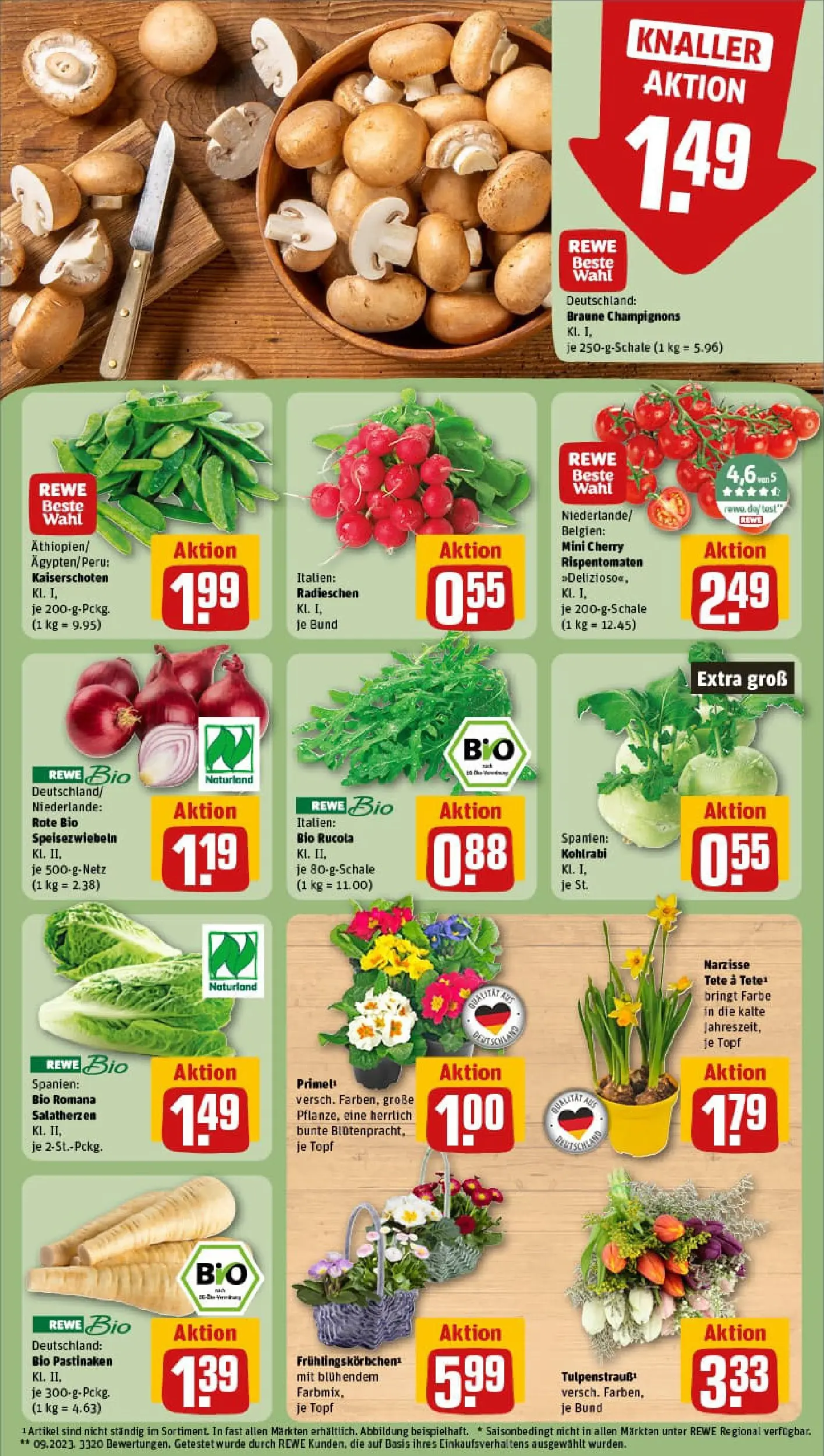 REWE Prospekt ab 04.01.2026 zum Blättern » Angebote | Seite: 9 | Produkte: Rucola, Kohlrabi, Champignons