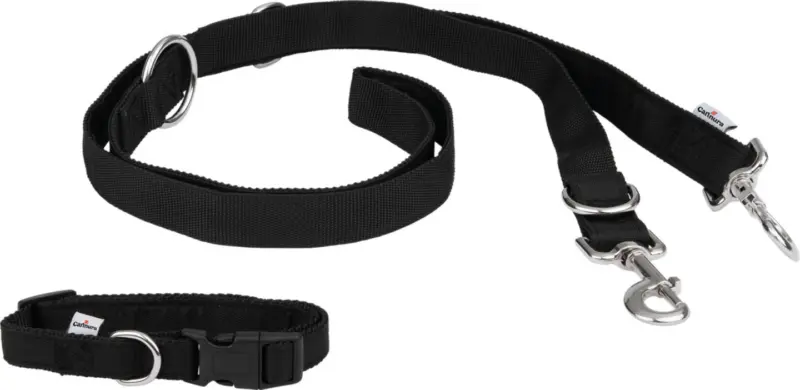 CARINURA Нашийник и повод за куче