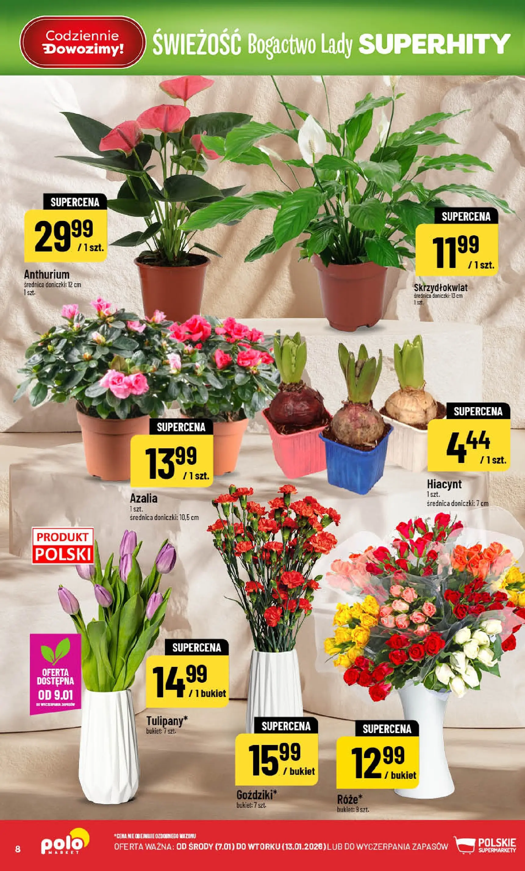 Nowa POLOmarket gazetka od jutra 07.01.2026 (PDF) | Strona: 8 | Produkty: Azalia, Doniczki