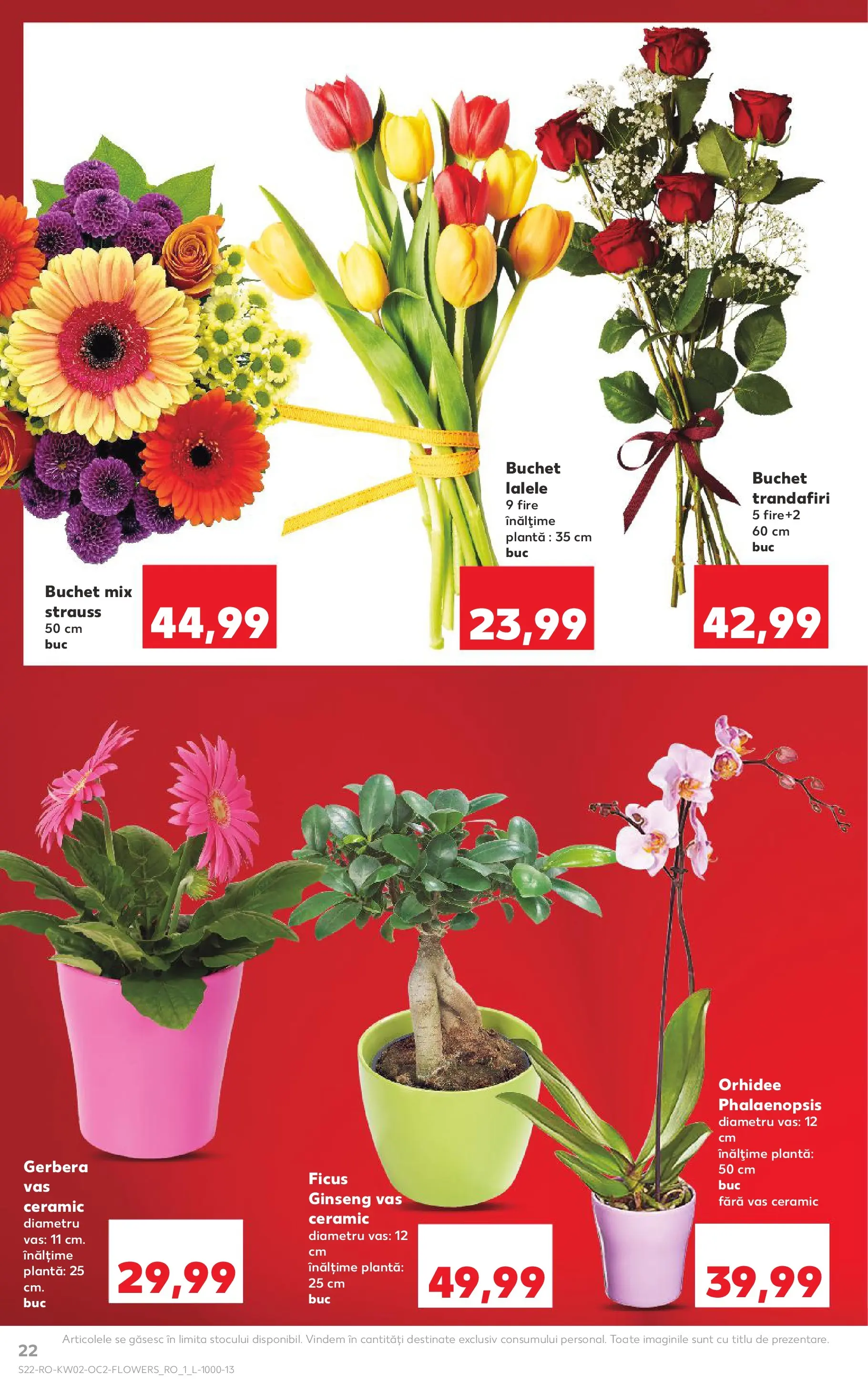 Catalog Kaufland - Miercurea Ciuc 07.01.2026 || Revista si Oferte | Pagină: 22 | Produse: Orhidee Catalog Kaufland - Miercurea Ciuc 07.01.2026 - Revista si Oferta | Pagină: 22 | Produse: Orhidee