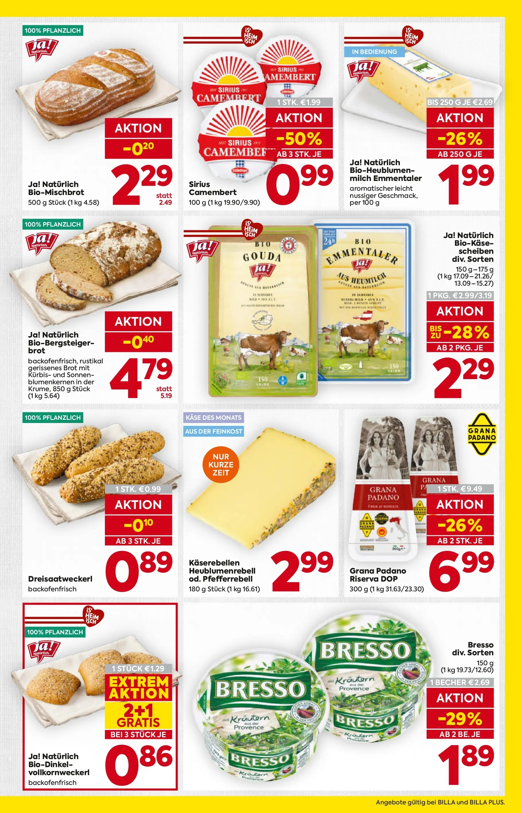 Billa Flugblatt - Moedling, Scheibbs, Schwadorf ab 08.01.2026 - Angebote, Prospekt | Seite: 11 | Produkte: Kürbis, Milch, Käse, Brot