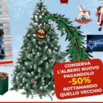 Brillo -50% - al 31.01.2026