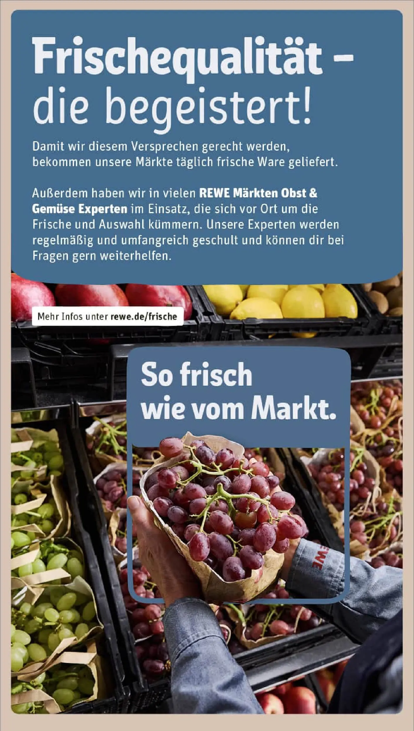 REWE Prospekt ab 11.01.2026 zum Blättern » Angebote | Seite: 28 | Produkte: Gemüse, Obst