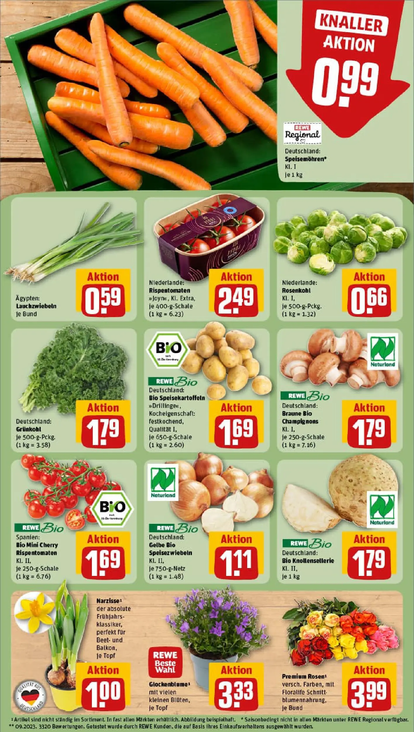 REWE Prospekt ab 11.01.2026 zum Blättern » Angebote | Seite: 7 | Produkte: Champignons