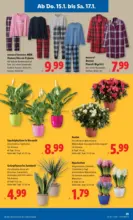 Lidl Lidl: Flugblatt in deiner N&auml;he - ab 15.01.2026