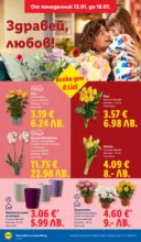 ЛИДЛ Сваляме цените в ЛИДЛ с предложения валидни до 18.01.2026 - от 12-01-26