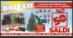 Brillo 50% saldi - al 31.01.2026