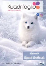 Kuadrifoglio Gennaio riparti brillando - al 29.01.2026