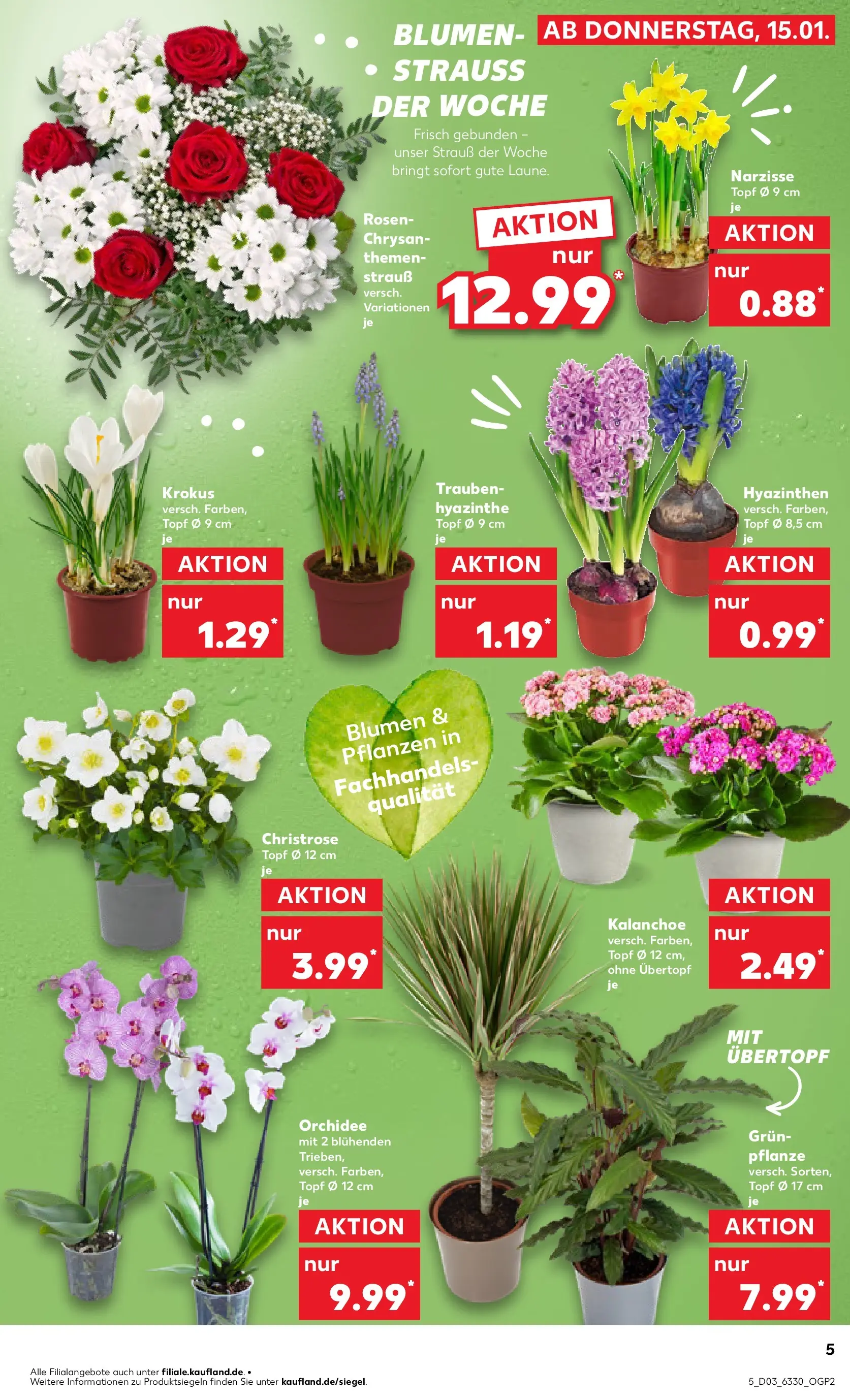 Prospekt Kaufland ab 15.01.2026 » Angebote Online zum Blättern | Seite: 5 | Produkte: Trauben, Orchidee, Blumen