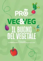 Pam RetailPro Il buono del vegetale - al 30.01.2026