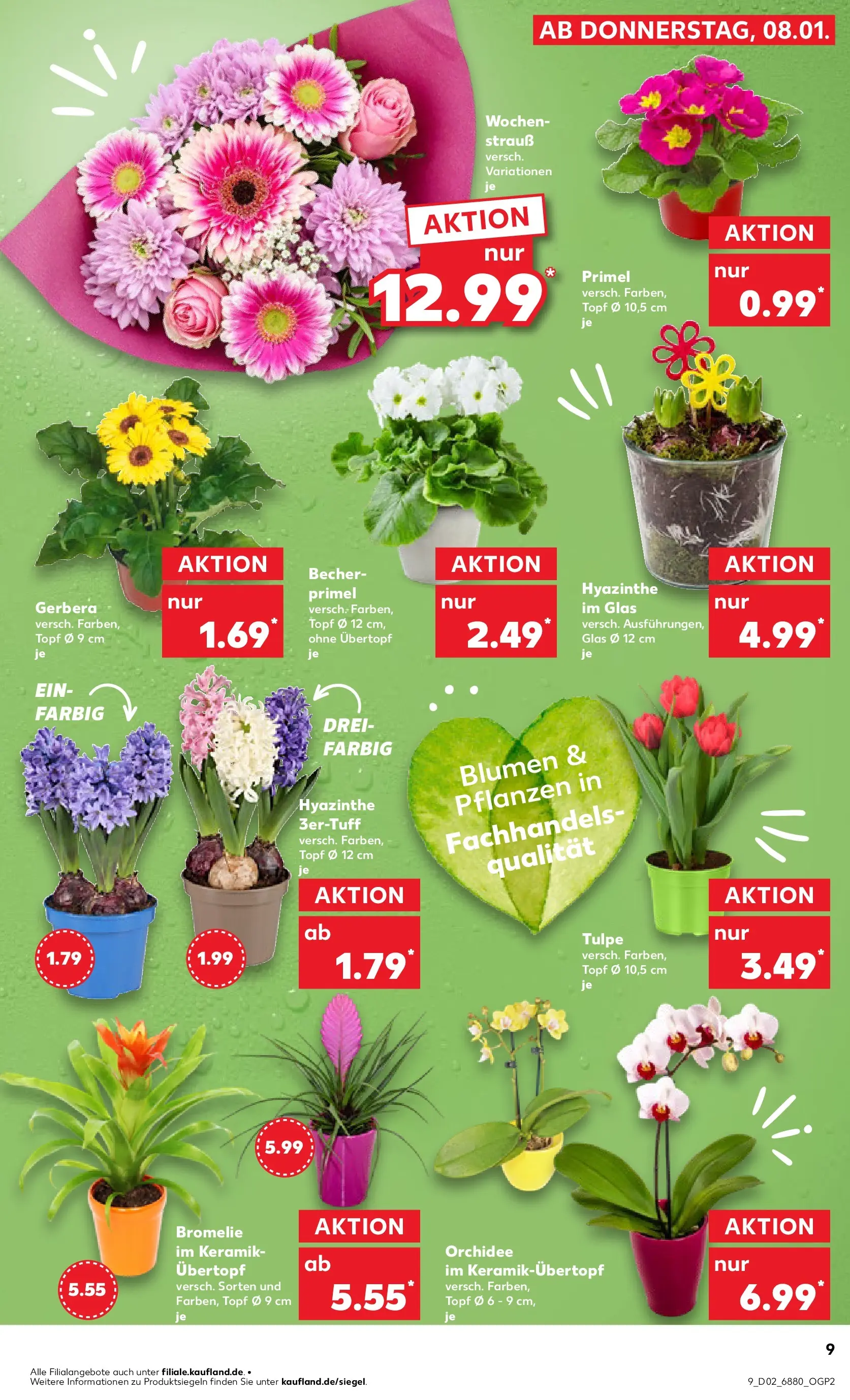 Prospekt Kaufland ab 11.01.2026 » Angebote Online zum Blättern | Seite: 9 | Produkte: Orchidee, Blumen