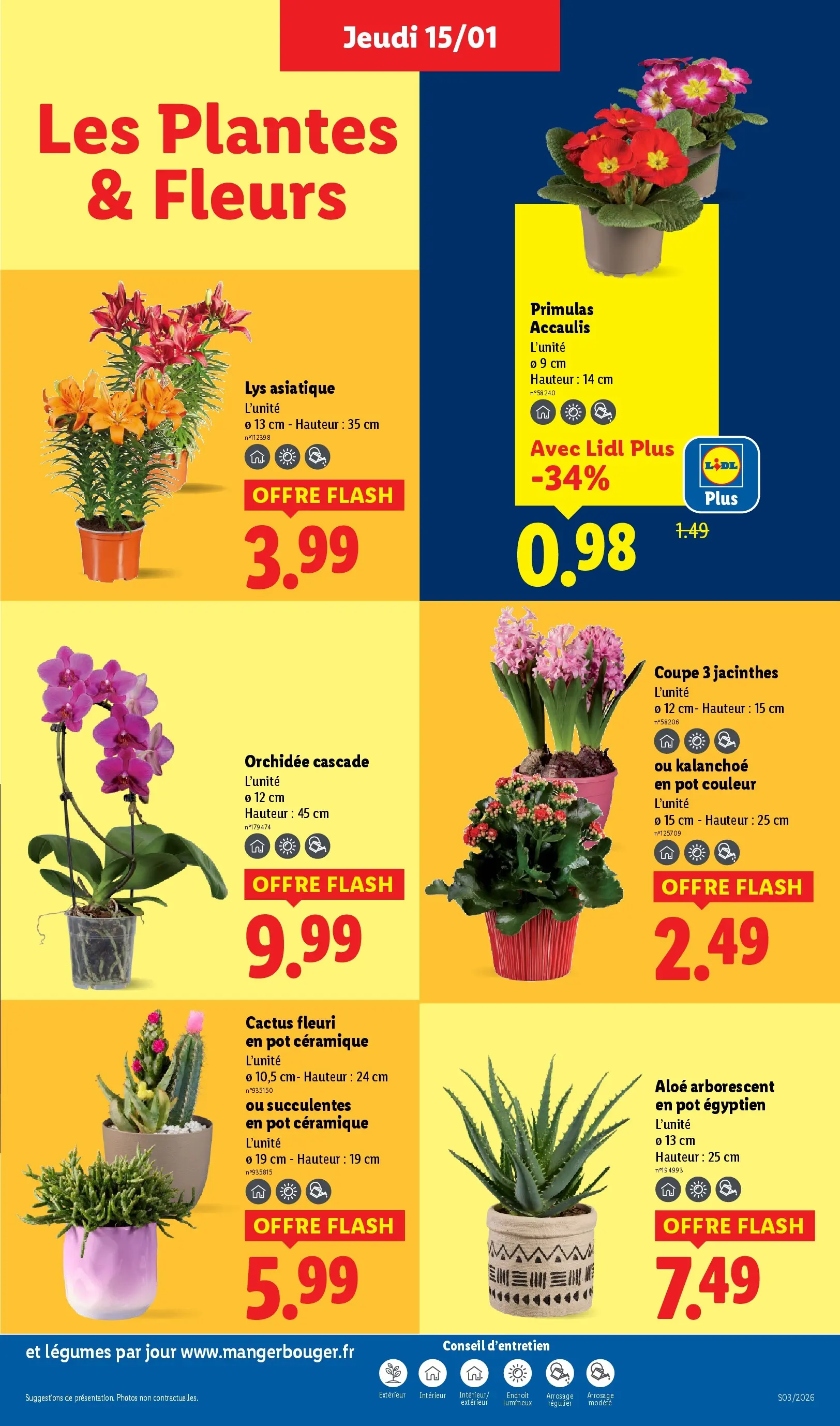 Catalogue LIDL du 14/01/2026 | Promo prospectus en ligne | Page: 27 | Produits: Plantes, Orchidée