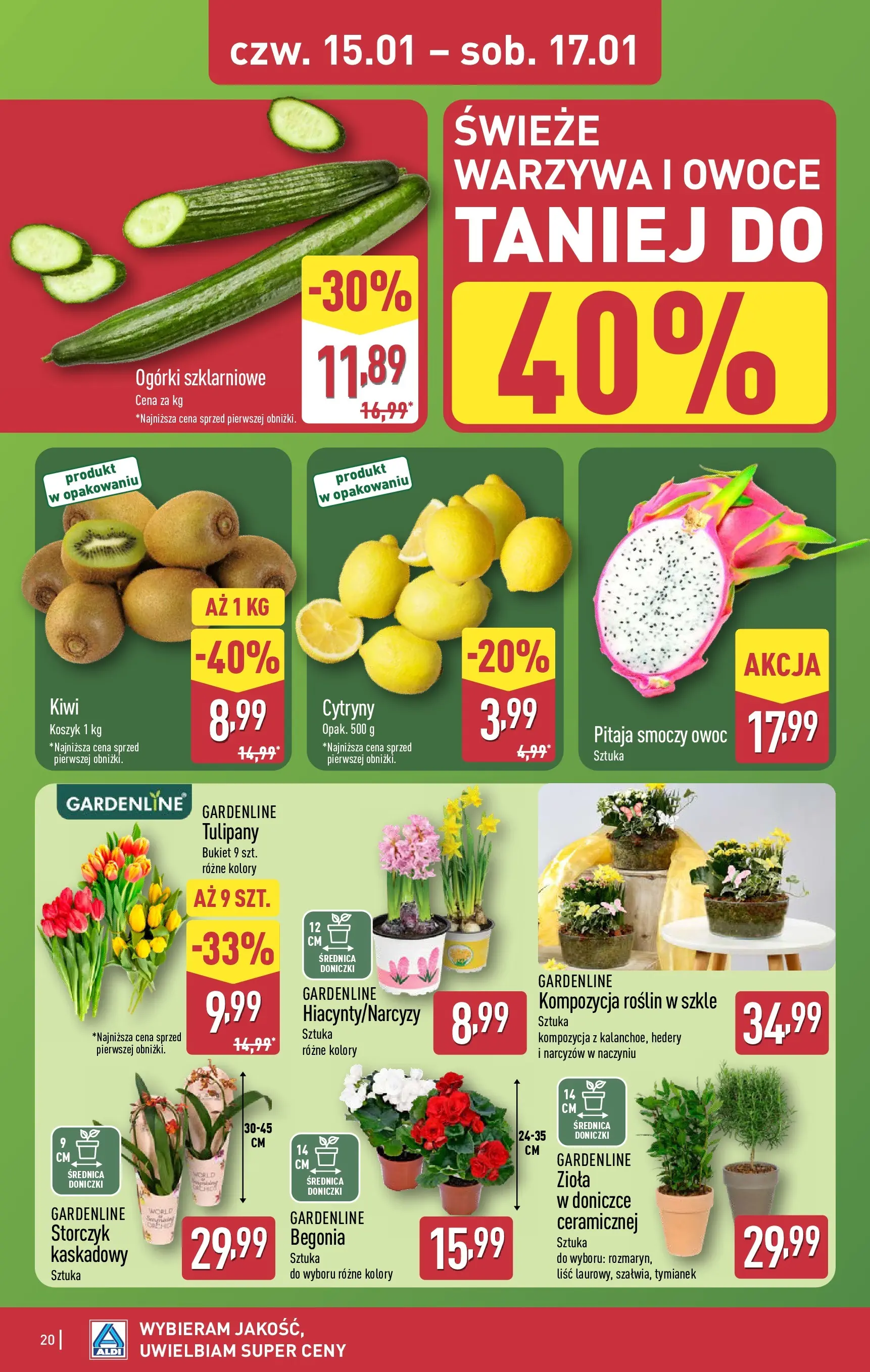 Aldi Gazetka od 12.01.2026 - Ulotka PDF, promocje | Strona: 20 | Produkty: Tymianek, Pitaja, Tulipany, Warzywa