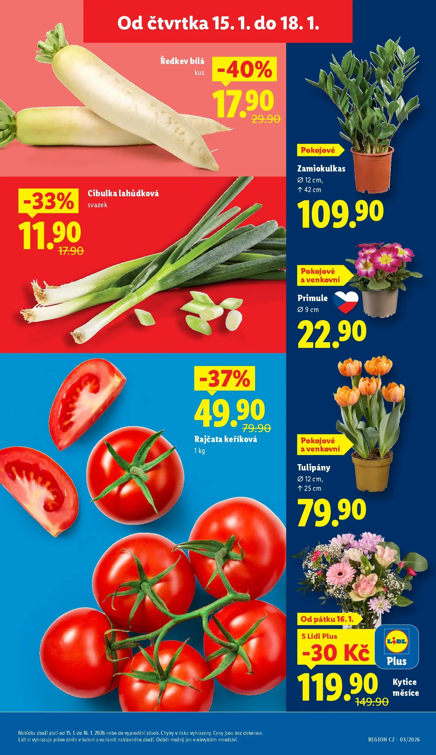 Lidl leták od 14.01.2026 - Nový akční leták | Strana: 9 | Produkty: Rajčata, Tulipány, Kytice