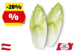 HOFER MARKTPLATZ Chicoree aus &Ouml;sterreich, 500 g