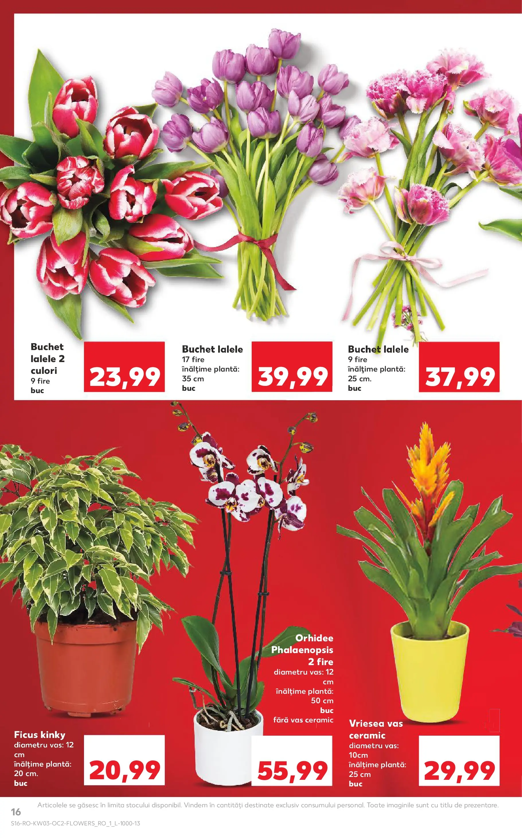 Catalog Kaufland - Deva 14.01.2026 - Revista si Oferta | Pagină: 16 | Produse: Orhidee
