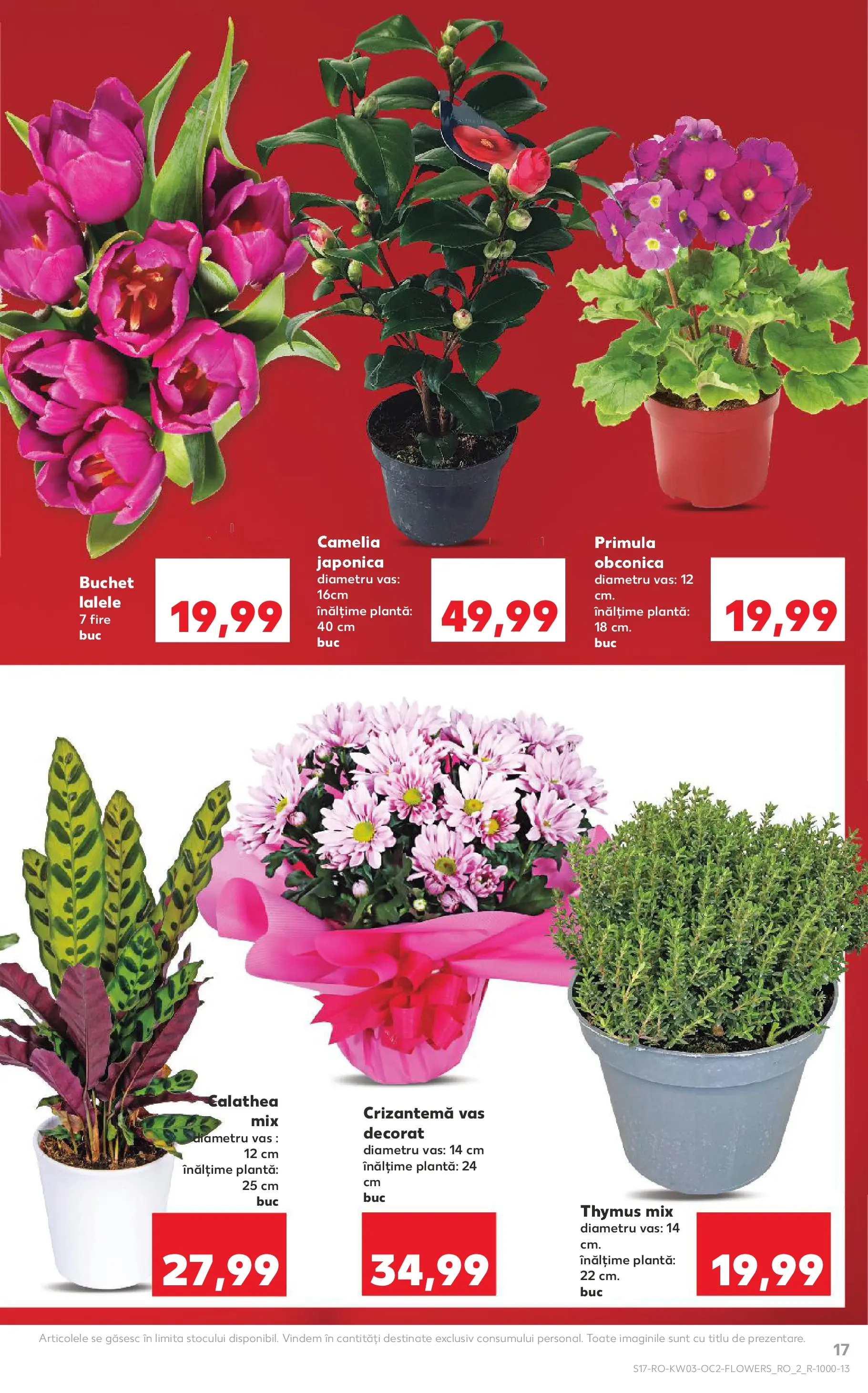 Catalog Kaufland - Deva 14.01.2026 - Revista si Oferta | Pagină: 17