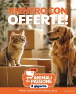 Il Gigante Rientro con offerte! - al 08.02.2026
