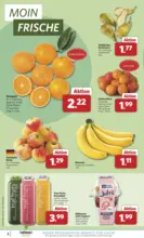 Unsere Combi Wochenangebote